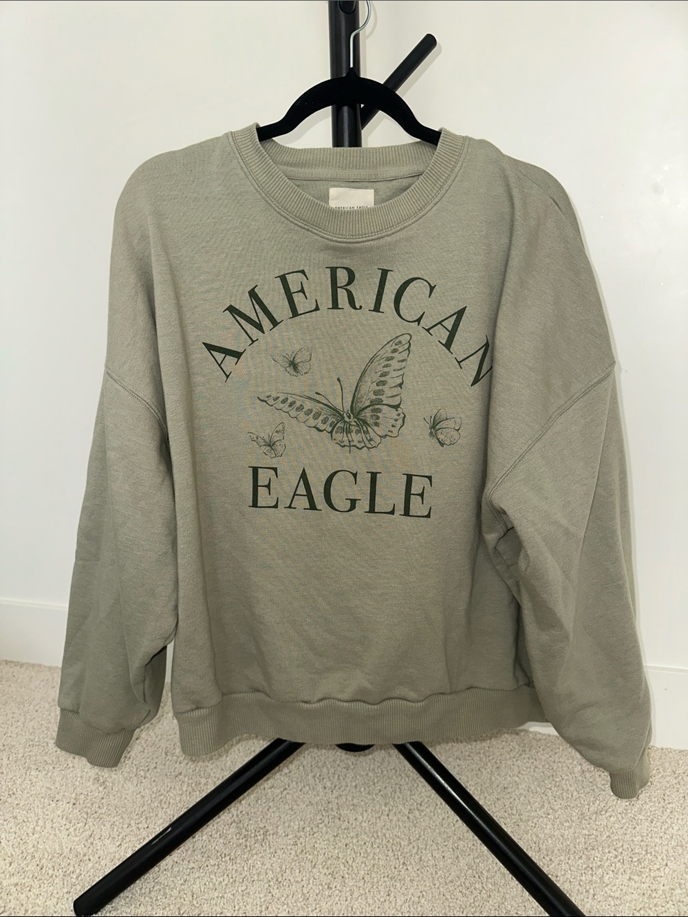 American Eagle Outfitters Sage Green Graphic Crewneck